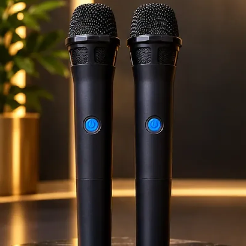 GTS-2385 8" Karaoke Speaker image 3
