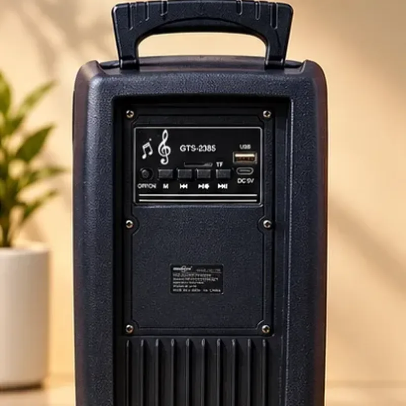 GTS-2385 8" Karaoke Speaker image 4